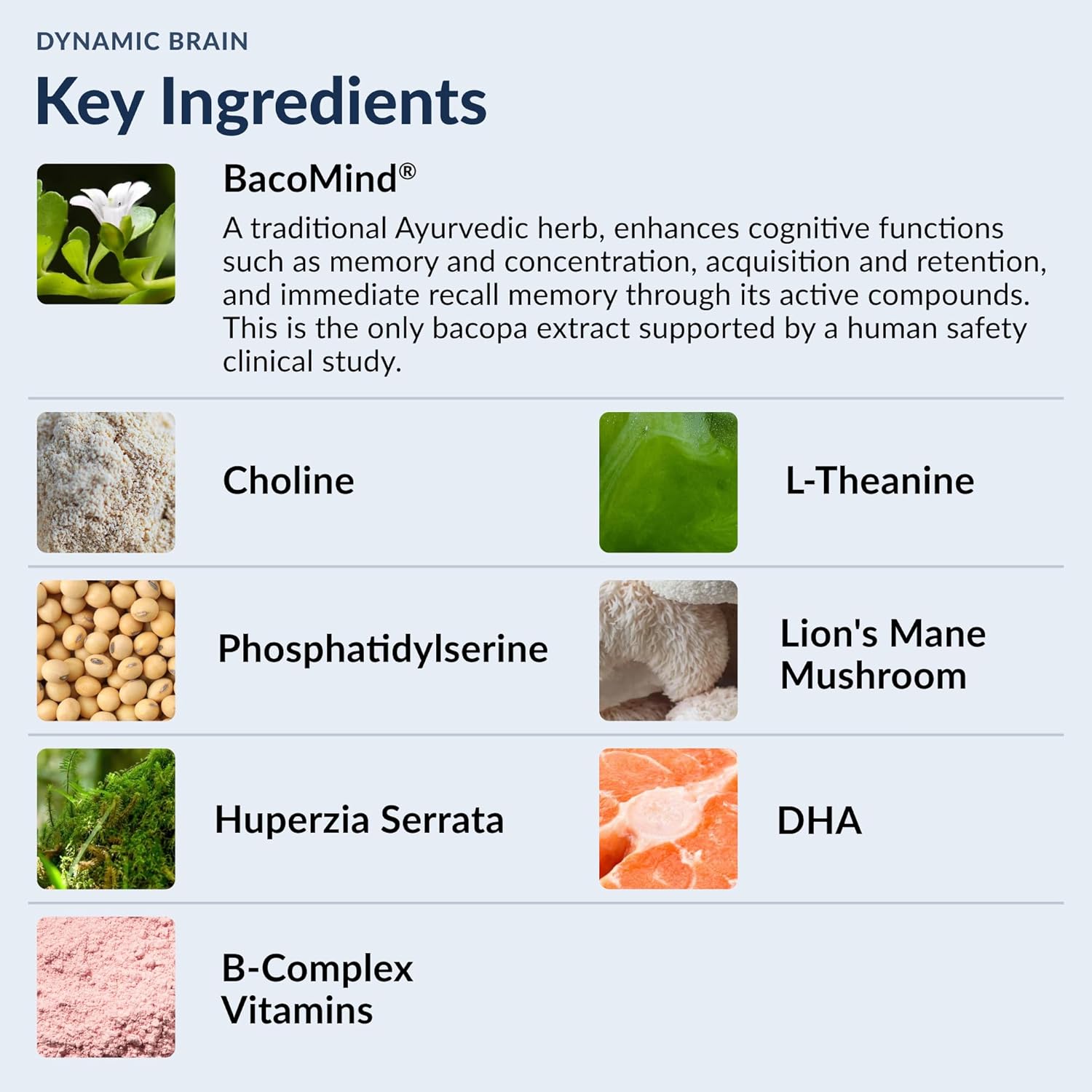 Stonehenge Health Dynamic Brain Supplement