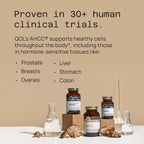 Quality of Life Premium Kinoko Gold AHCC Supplement, 500 mg per Capsule, Supports Immune Health, Liver Function, Maintains Natural Killer Cell Activity & Enhances Cytokine Production, 60 Veg Capsules