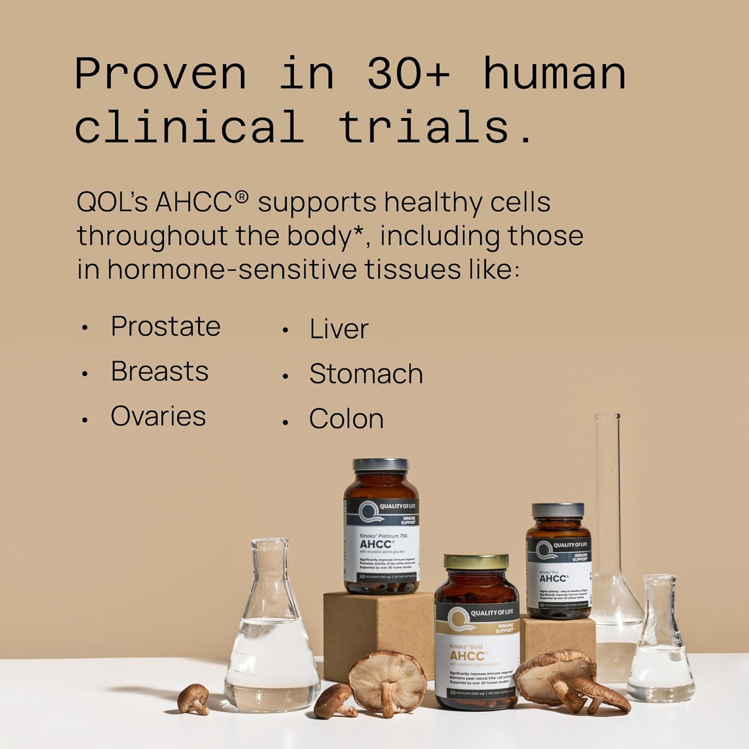 Quality of Life Premium Kinoko Gold AHCC Supplement, 500 mg per Capsule, Supports Immune Health, Liver Function, Maintains Natural Killer Cell Activity & Enhances Cytokine Production, 60 Veg Capsules