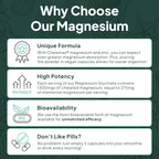 Organics Ocean Pure Magnesium Glycinate with Zinc - Maximum Strength Chelated Magnesium Supplement for Women and Men for Muscle Cramps and Sleep Support - 90 Capsule